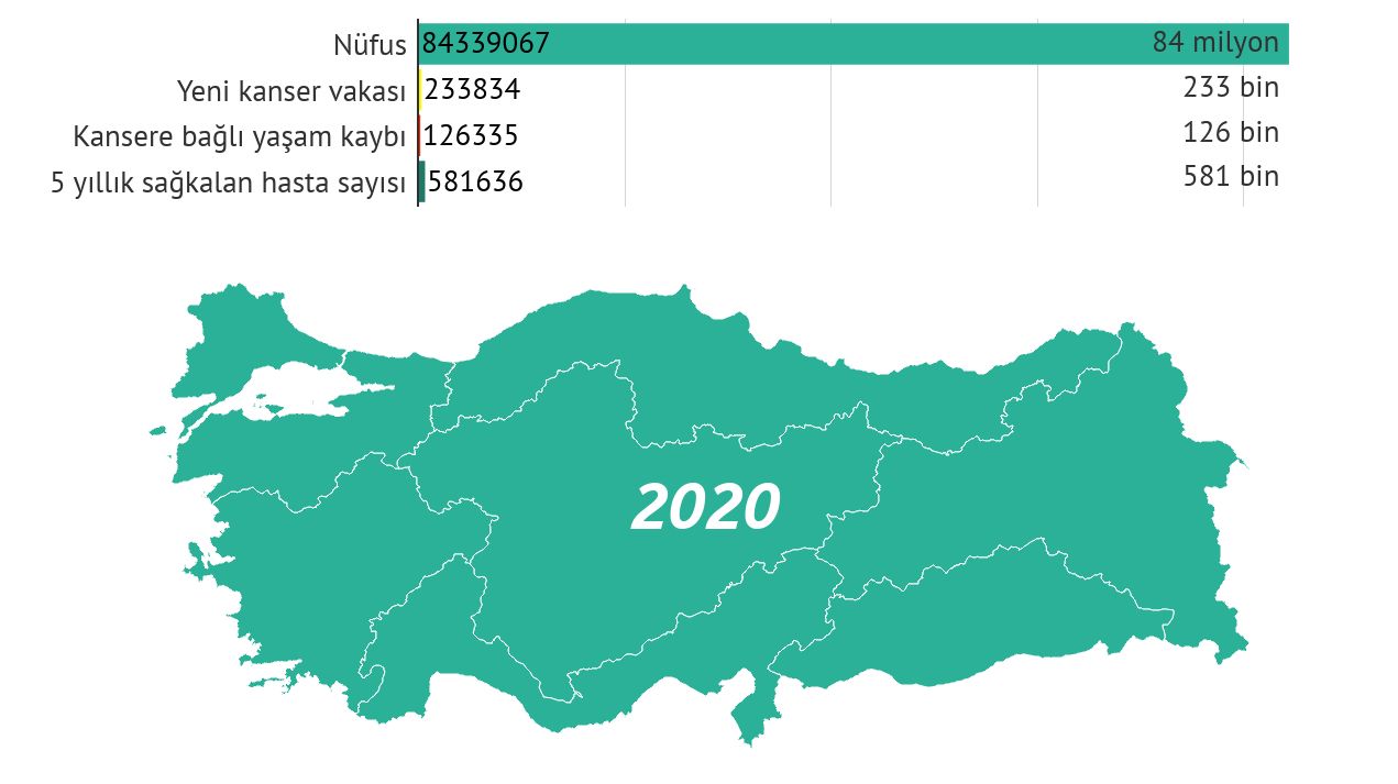 Krebsstatistiken der Türkei 2020 Neuerkrankungen Todesfälle 5-Jahres-Prävalenz