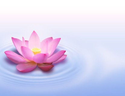 Üçlü Negatif Meme Kanserinin Çoğalmasını Sağlayan Protein Keşfedildi