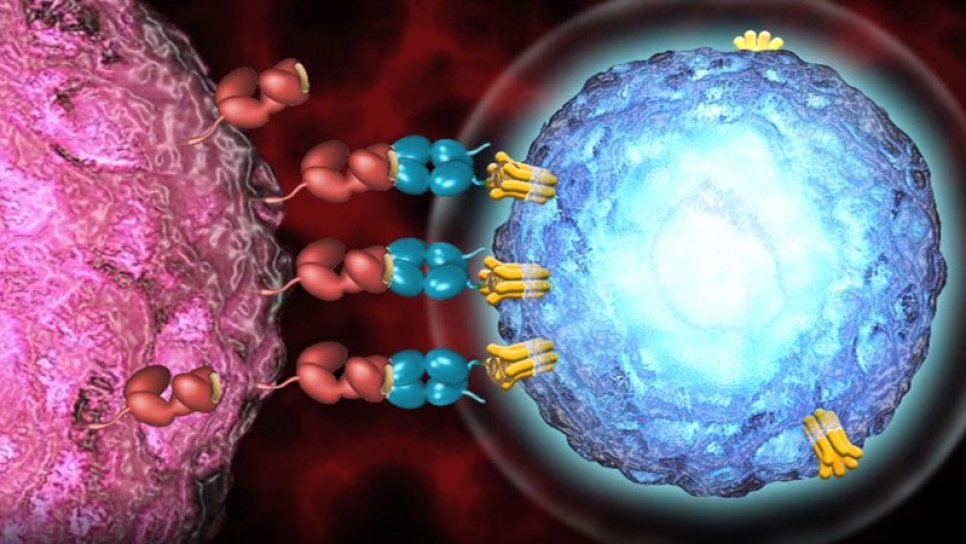 Uveal (Göz) Melanom için ilk Kez Bir Tedavi FDA Onayı Aldı: Tebentafusp-tebn