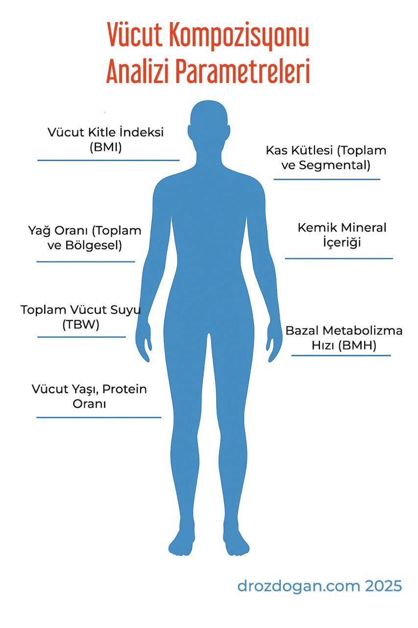 Body composition analysis parameters