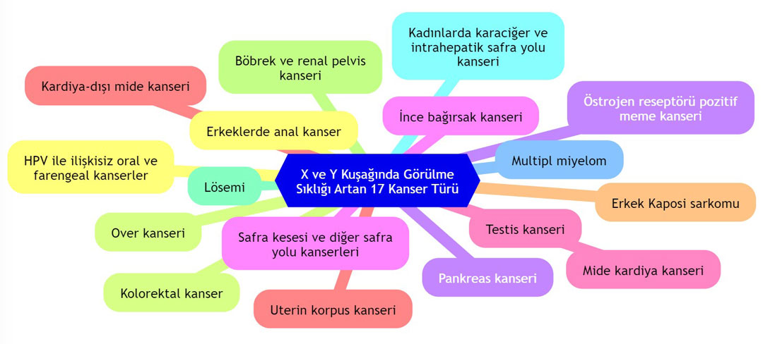 x ve y kusaginda gorulme sikligi artan 17 kanser turu 895049