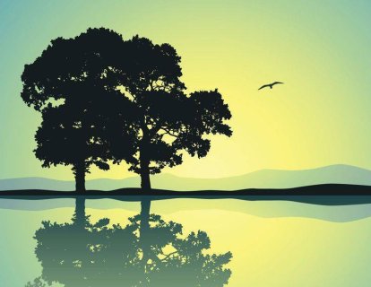 Krizotinib (Xalkori) Nedir? FDA Onayı, Türkiye Ruhsatı ve Geri Ödeme Durumu