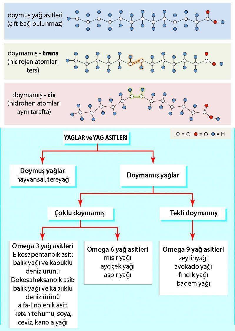 yag asidi turleri fatty acid types saturated cis trans 938720