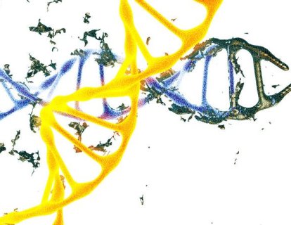Yapay Toksik RNA ile Kanser Hücrelerini Öldürmek