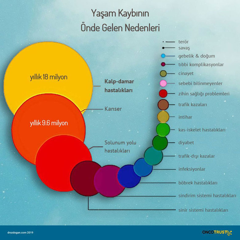 yasam kaybinin onde gelen nedenleri 771377
