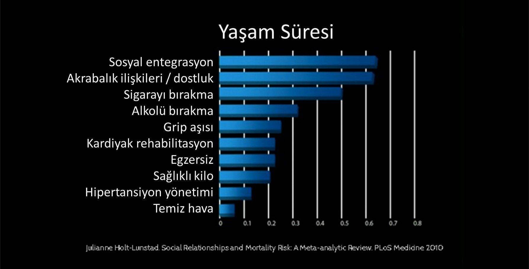 yasam suresini artiran en onemli faktor sosyal entegrasyon akrabalik dostluk iliskileri 788337