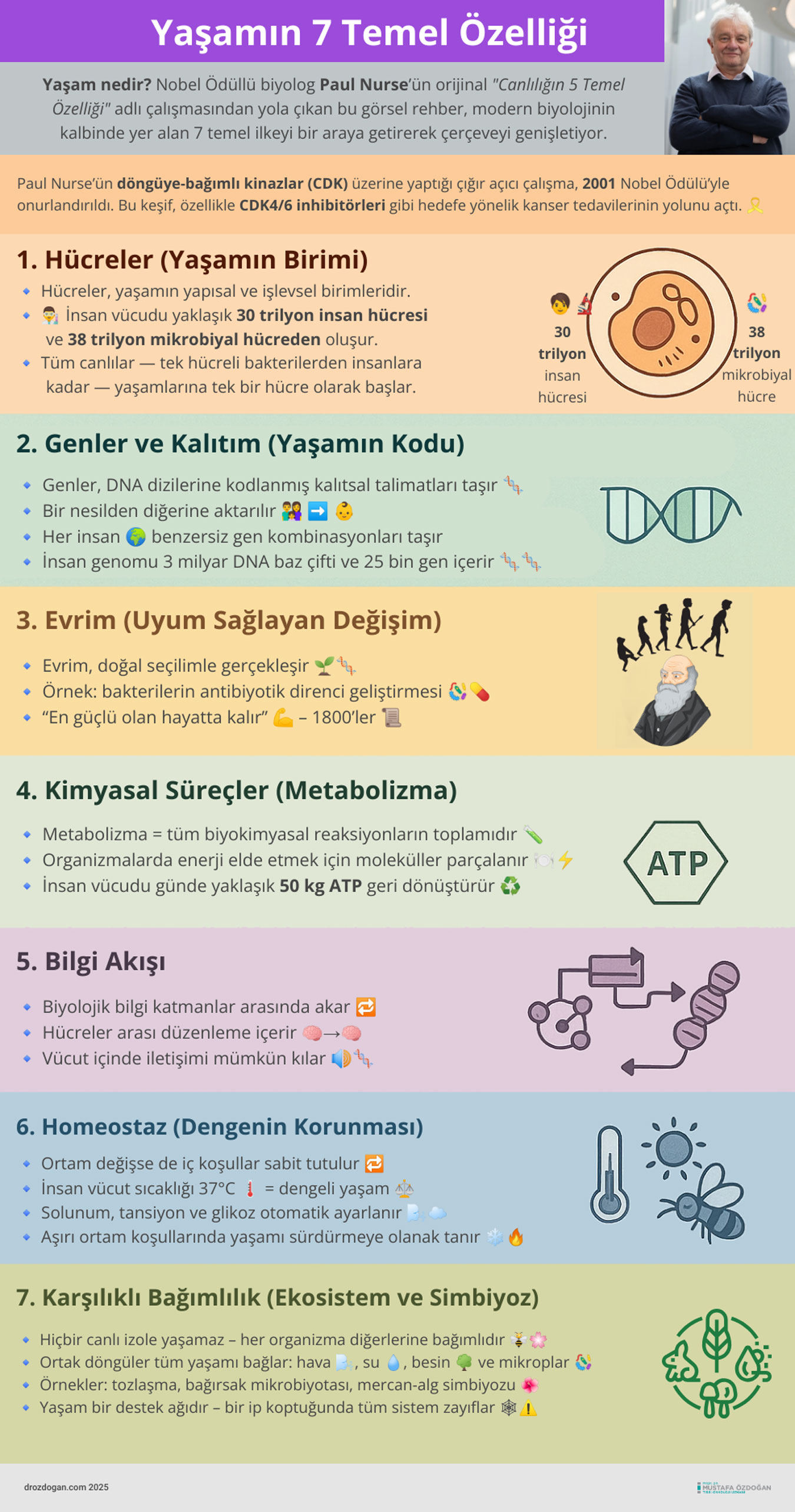 yasamin 7 temel ozelligi mustafa ozdogan 697746
