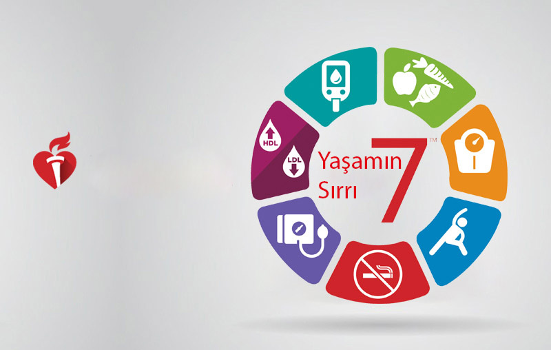 yasamin basit 7 sirri aklp damar hastaliklari 338408