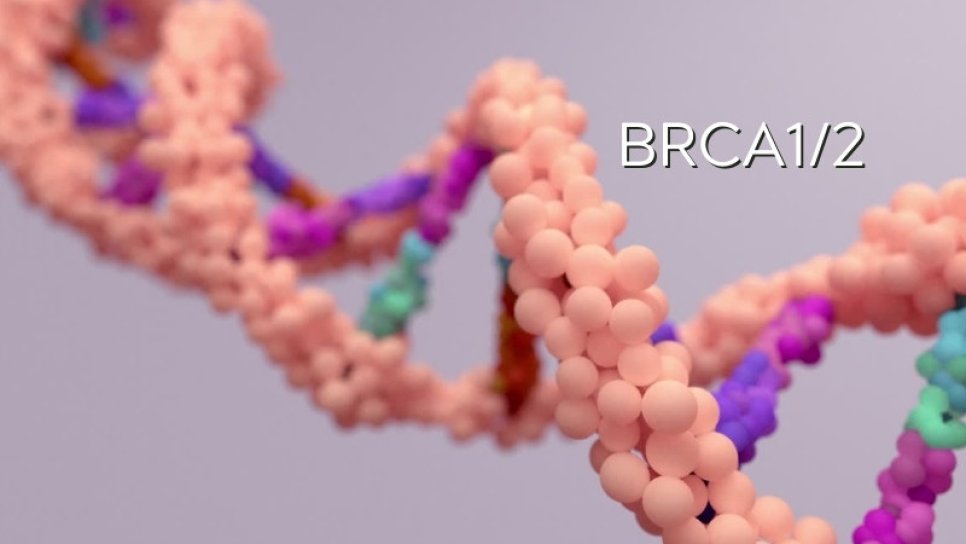 Yedi Kanser Türünün, BRCA1 ve BRCA2 Mutasyonları ile İlişkisi Kanıtlandı