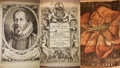 Yengecin Gizli Otoyolu: Gaspare Aselli ve SÜTLÜ DAMARLARIN Keşfi