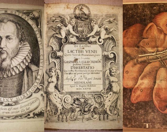 Yengecin Gizli Otoyolu: Gaspare Aselli ve SÜTLÜ DAMARLARIN Keşfi