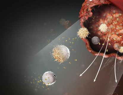 Yeni Bir Kanser İmmünoterapisi Geliyor: Makrofaj Kontrol Noktalarını Baskılamak