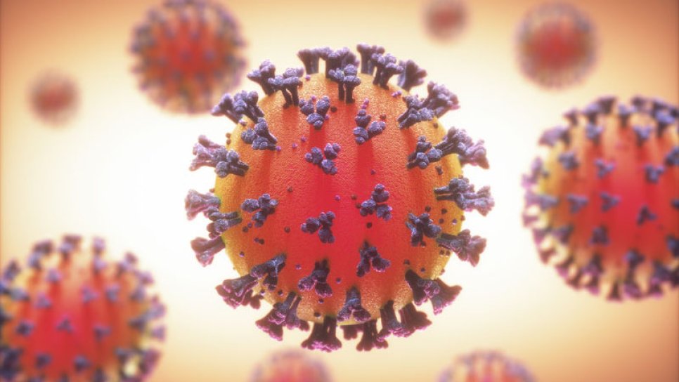 Wie wird das neue Coronavirus (SARS-CoV-2) übertragen und wie macht es krank? Neueste wissenschaftliche Entwicklungen