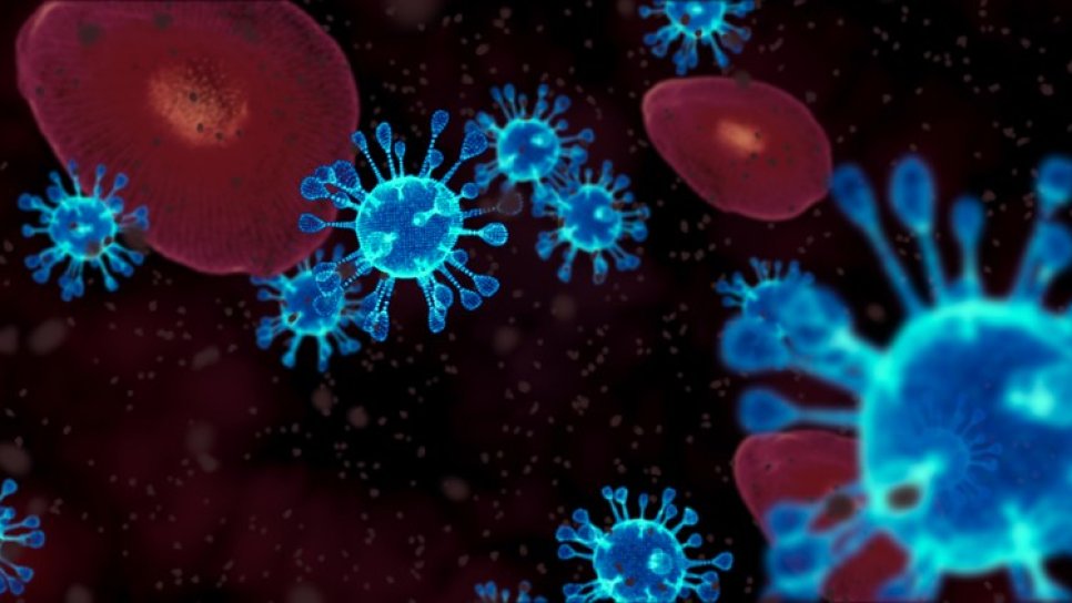 WIE REAGIERT DAS IMMUNSYSTEM AUF das neuartige Coronavirus (SARS-Cov-2)? Wo liegt das Problem?