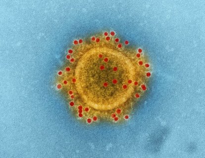 Yeni Koronavirüste Denenen ve Öncekilerde (MERS-CoV ve SARS-CoV) Etkinlik Gösteren İlaçlar