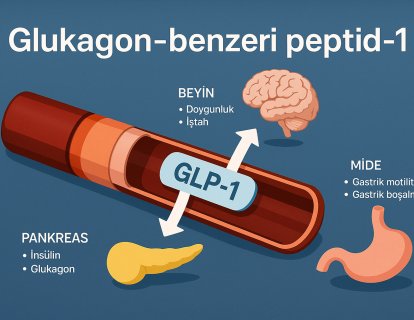 Yeni Nesil Zayıflama İlaçları: GLP-1 Agonistlerinin Tarihi ve Geleceği