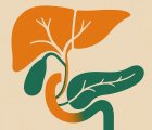 Zanidatamab-hrii (Zııhera) Nedir? FDA Onayı, Türkiye Ruhsatı ve Geri Ödeme Durumu