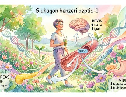 Zayıflama İğnelerinin Yan Etkileri: Ne Zaman Beklemeli, Ne Zaman Doktora Başvurmalı?