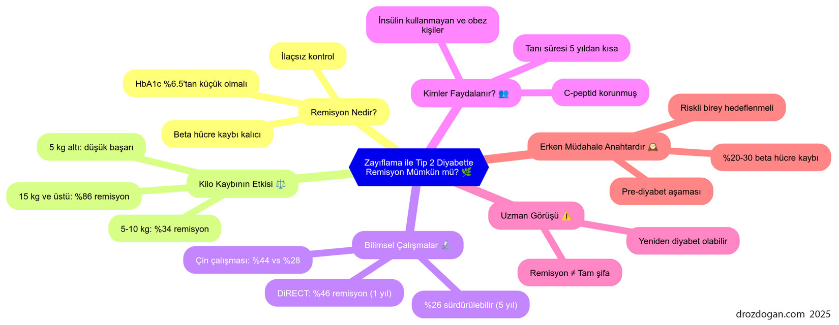 zayiflarayak tip 2 diyabet tedavisi mumkun mu 985435