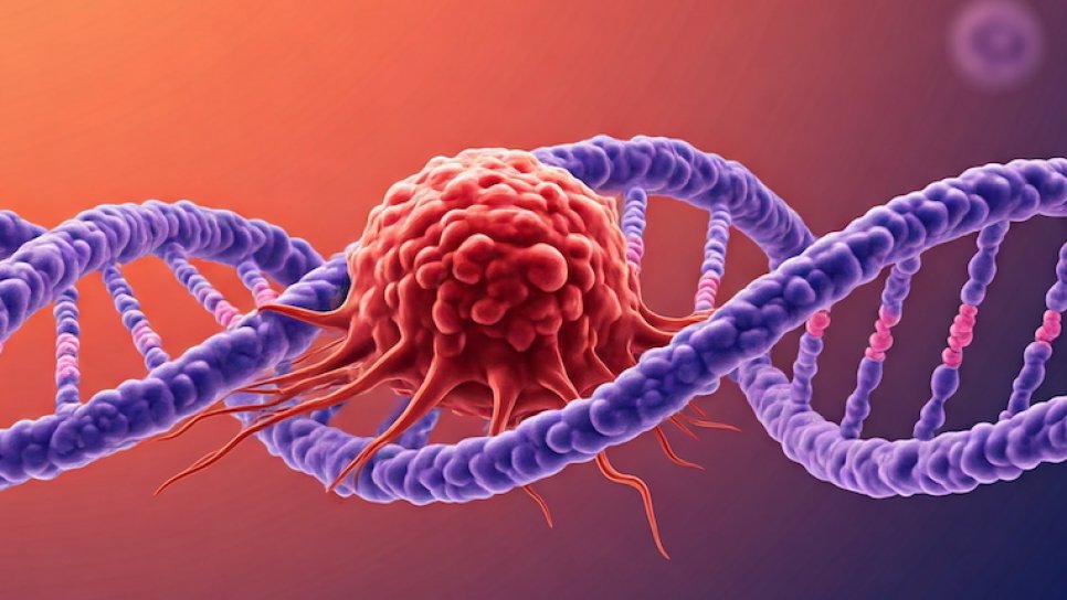 Zelboraf (Vemurafenib) Nedir? FDA Onayı, Türkiye Ruhsatı ve Geri Ödeme Durumu