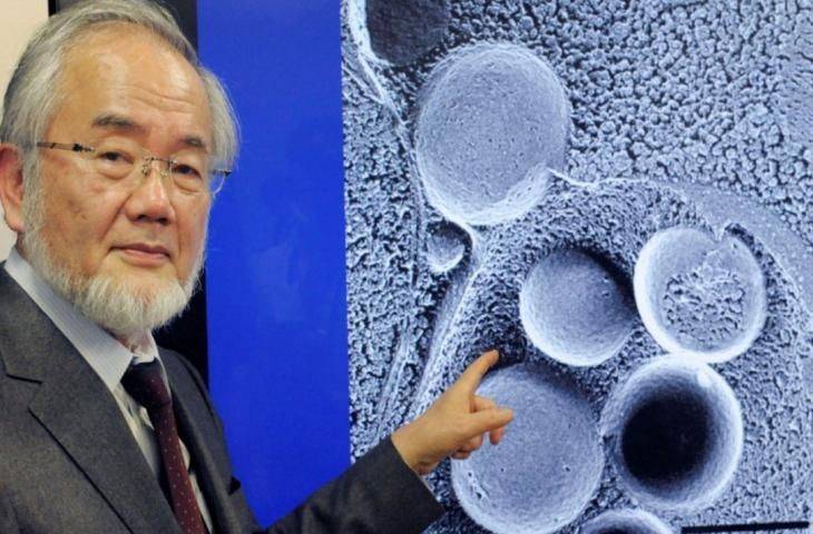 2016 Nobel Tıp Ödülü Otofaji çalışmaları ile Yoshinori Ohsumi’ye verildi