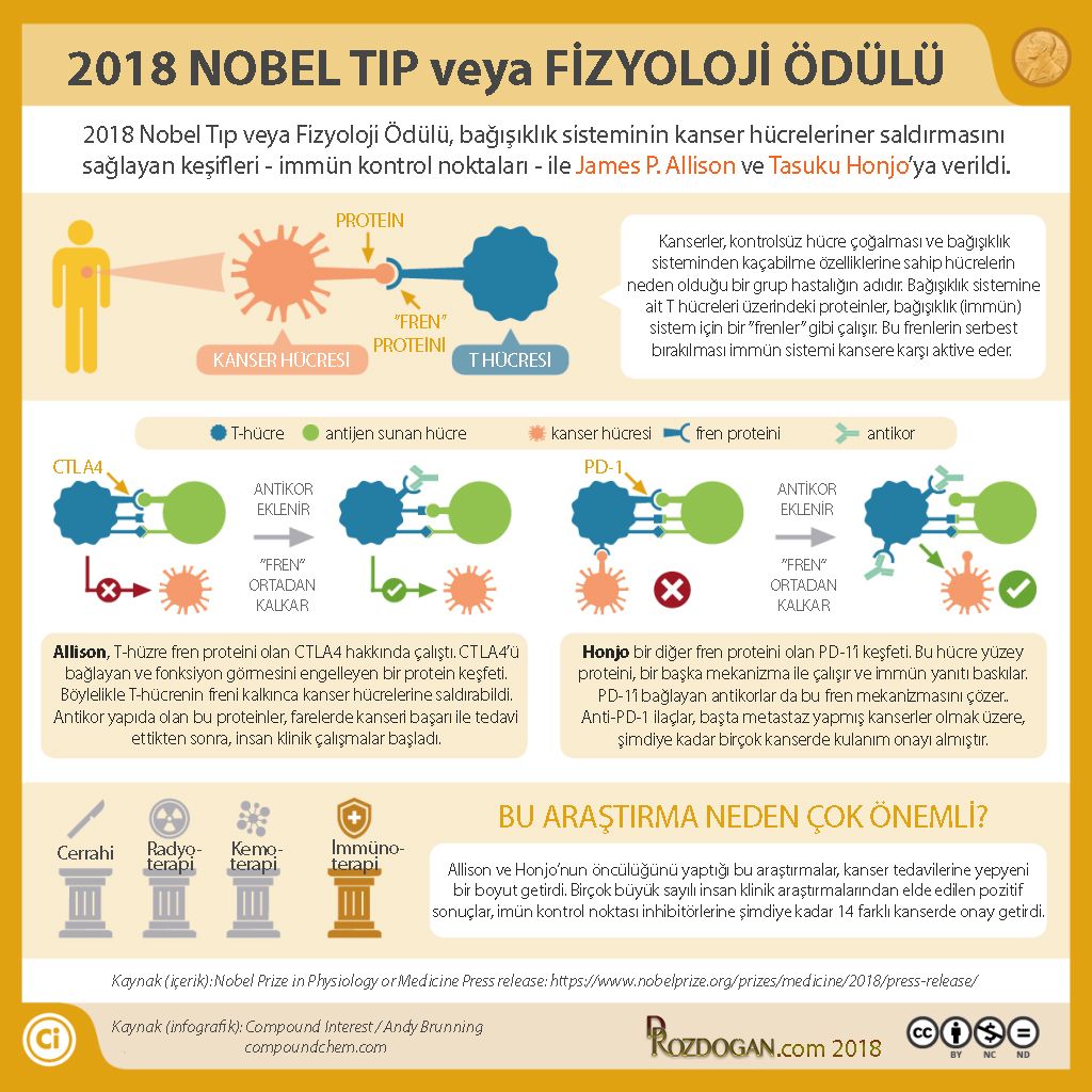 2018 nobel tıp veya fizyoloji ödülü kanser immünoterapi allison honjo infografik