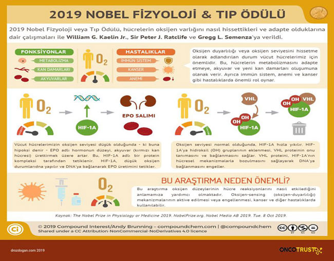 2019 nobel fizyoloji ve tip odulu