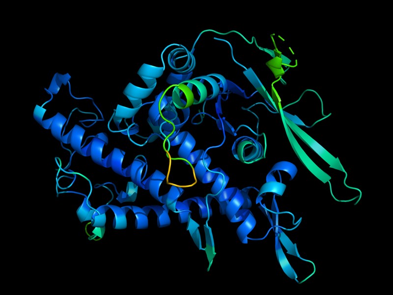3D şekli ile tanımlanmış bir proteinin fonksiyonu DeepMind
