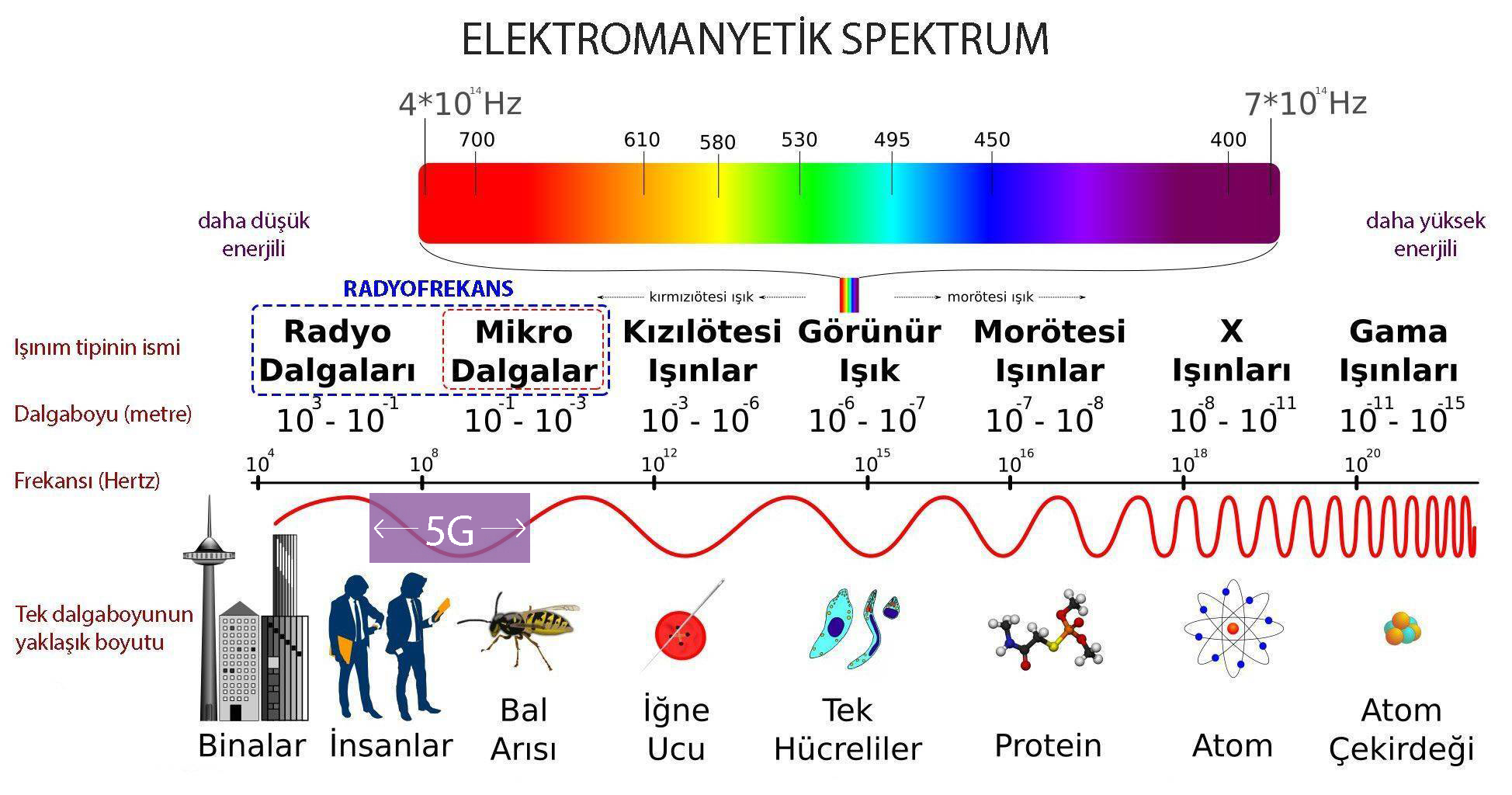 5G elektromanyetik spektrum radyofrekans dalga boyu mikrodalga