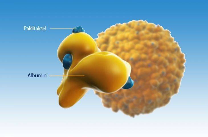 Abraxane (nab-Paklitaksel): Nanoteknoloji ürünü bir kemoterapi ilacı