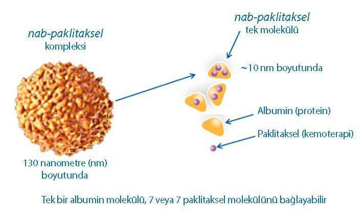 Abraxane nab paclitaxel nanoteknoloji ürünü bir kemoterapi ilacı molekül yapısı