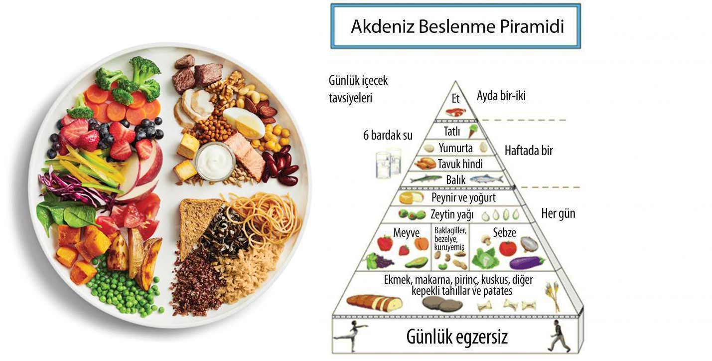 Akdeniz diyeti beslenme piramiti