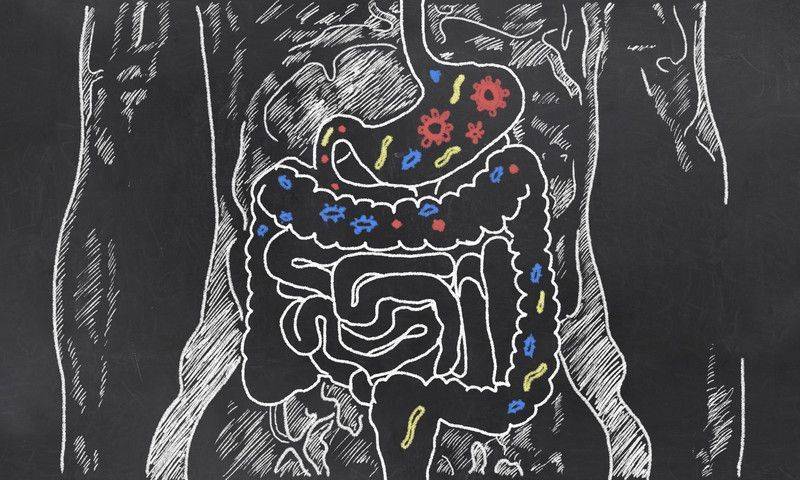Bağırsak gut florası mikrobiyota mikrobiyom nedir Kolorektal kanserle arasındaki ilişki nasıl