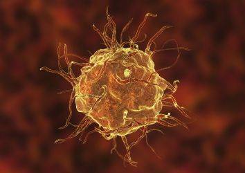 Bağışıklık sistemi hücresi makrofaj, kanserin yayılmasına yardım ediyor