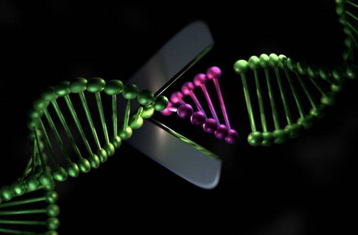 Crispr-cas9 nedir, mekanizması, tekniği, açılımı?