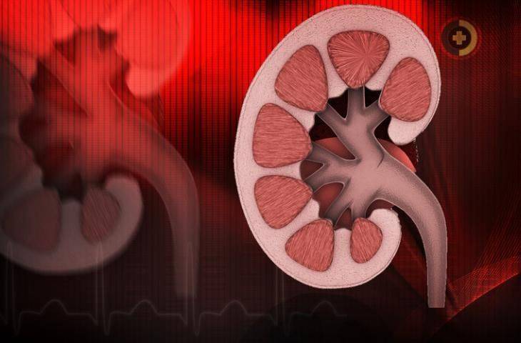 Böbrek kanseri tedavisi için yeni iki ilaç: immünoterapi ilacı Nivolumab (Opdivo) ve tirozin kinaz inhibitörü Cabozantinib büyük başarı gösterdi