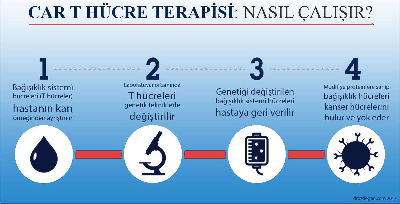 CAR T nedir bu kanser immünoterapisi nasıl çalışır