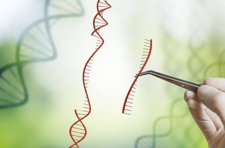 CRISPR ile 2017’de gerçekleştirilen 9 çığır açıcı gelişme