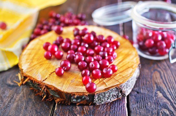 Cranberry - turna yemişi ve kanser tedavisi