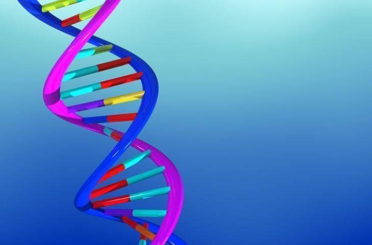 DNA nedir? DNA hasarı kanserleşmeyi nasıl etkiler?