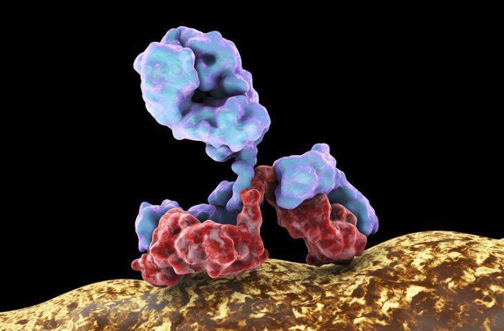 Daha önce tedavi almamış foliküler lenfoma için obiutuzumab FDA onayı aldı