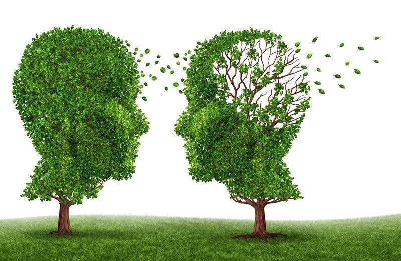 Demans bunama ve Alzheimer için diyetler