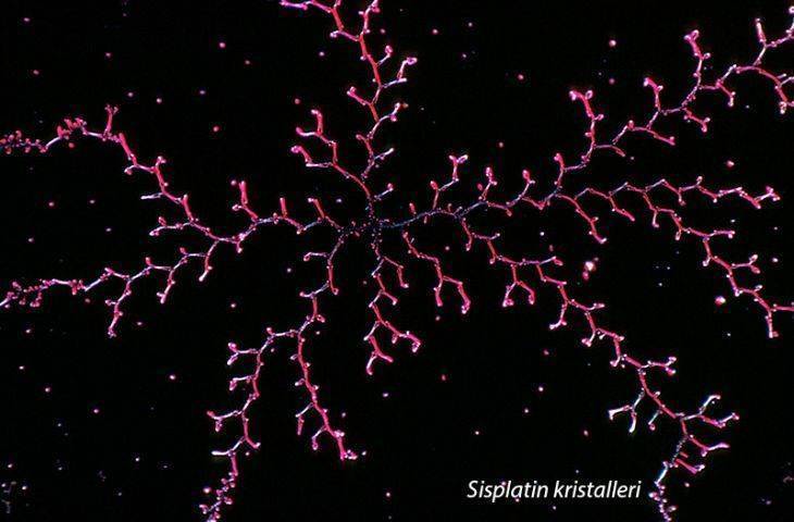 Devrim yaratan kanser ilacı Sisplatin ve şaşırtan öyküsü