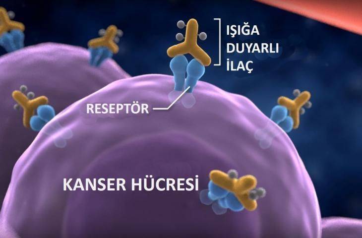 Fotoimmünoterapi: Kanserde hedeflenmiş immünoterapi yöntemi