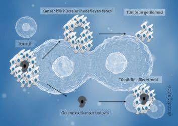 Hem kanserin nedeni hem tedaviye giden yol: Kanser Kök Hücreleri