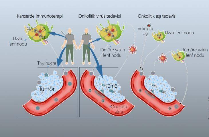 İmmunoterapi ve ötesi: kanser aşısı