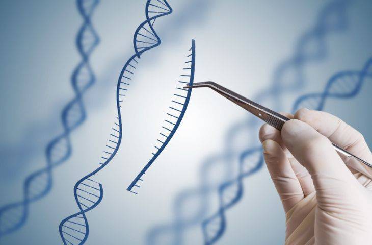 Kalıtsal kanserlerin araştırılmasında CRISPR genetik tekniği kullanılacak