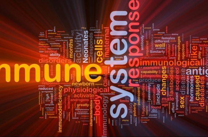 Kanser tedavisinde immünoterapinin uzun vadedeki etkinliği D vitamini ile arttırılabilir mi?