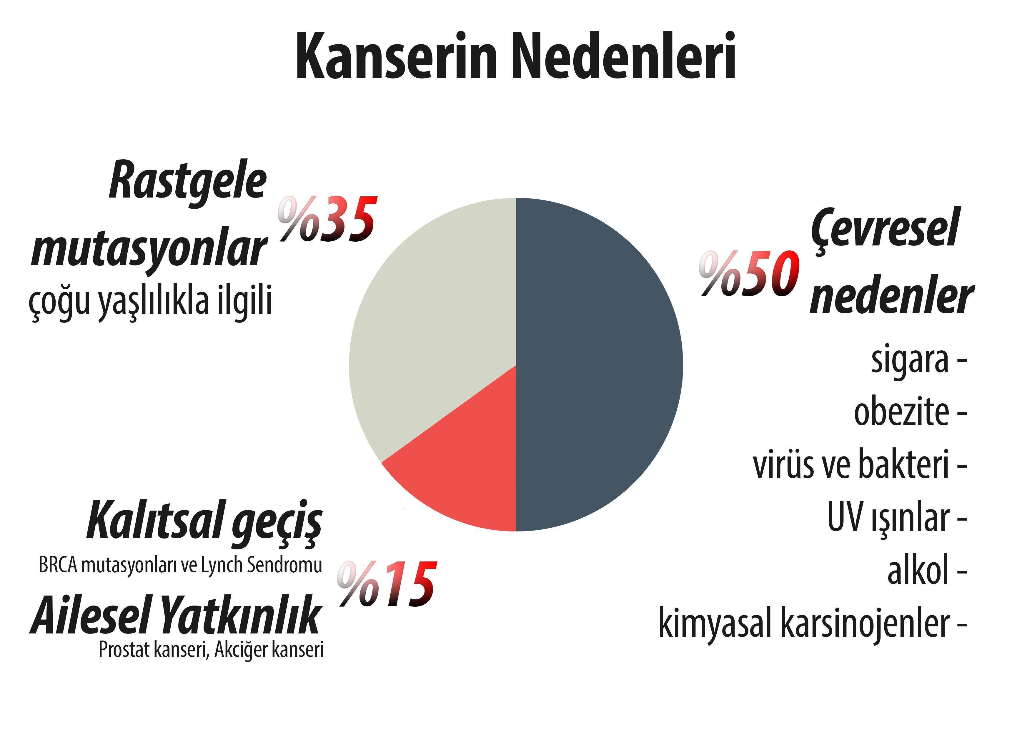 Kanserin nedenleri