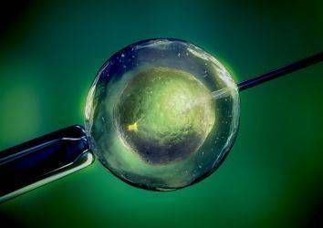 Kanserli Hastalar için Embriyo Dondurma ve Kısırlık Tedavisi Hakkında Bilgiler